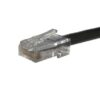 CAT 5E Basic Outdoor Patch Cable